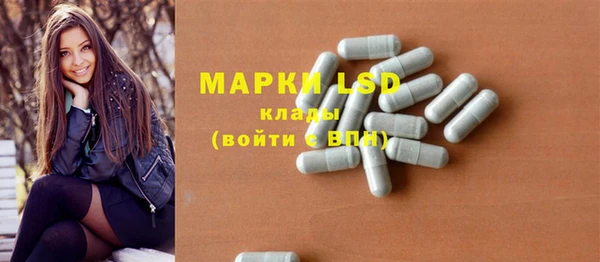 индика Беломорск