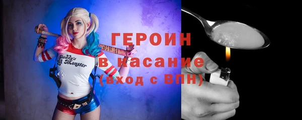 индика Беломорск
