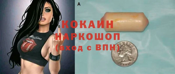 индика Беломорск