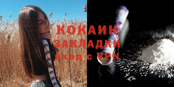 индика Беломорск
